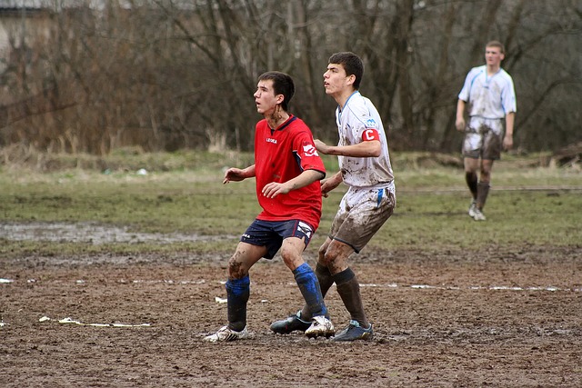 的胜利者 的胜利者