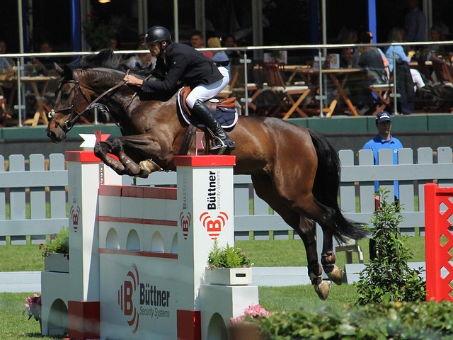 生疏的问题 生疏的问题