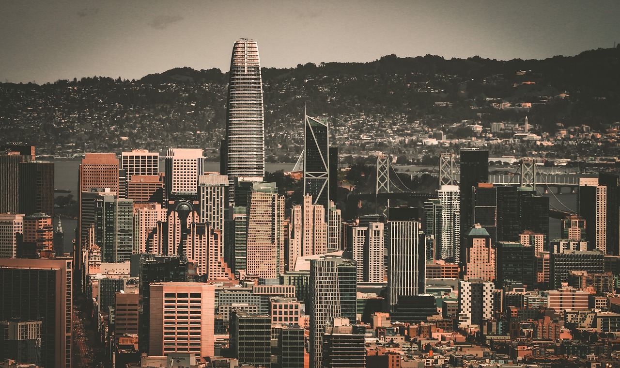 主教练的执 主教练的执