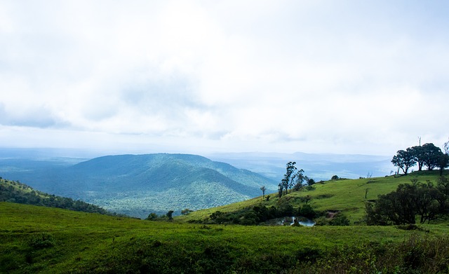 势的关键 势的关键