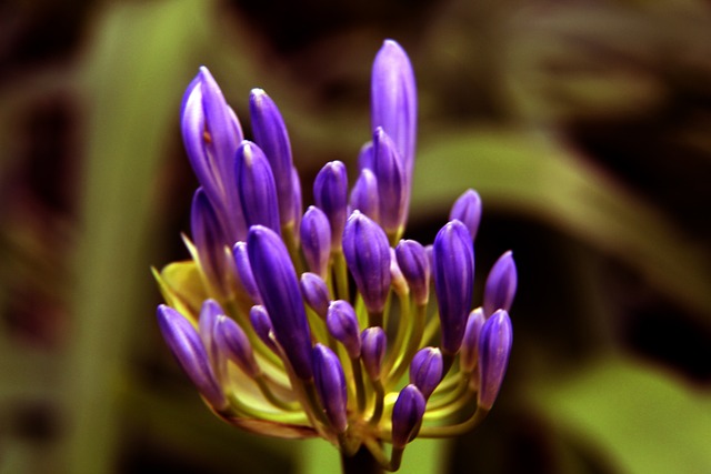 令的束缚之 令的束缚之