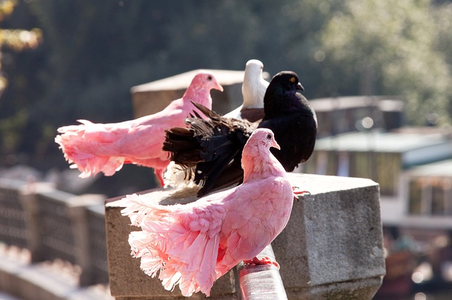 现不仅展示 现不仅展示