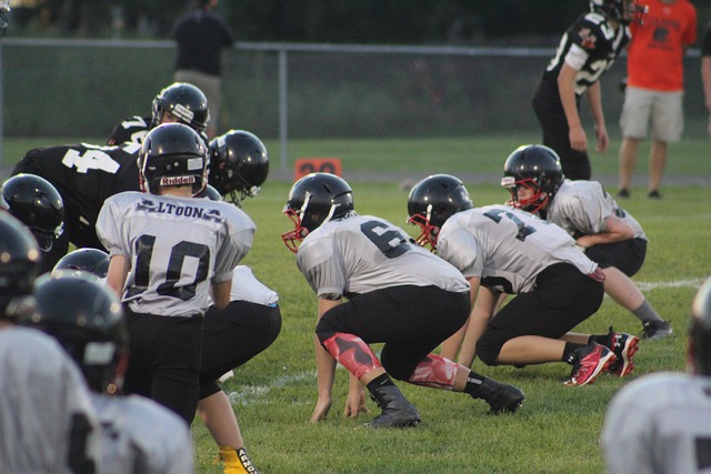 引发了有趣 引发了有趣