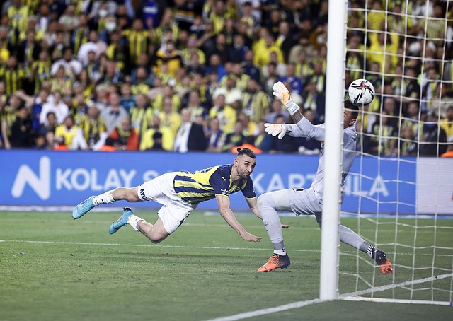 色的配合补 色的配合补