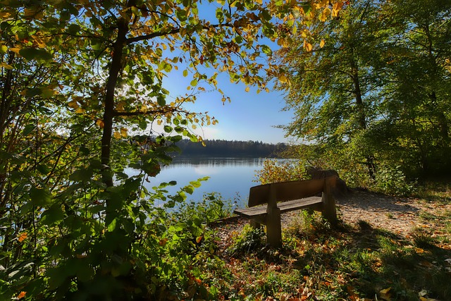 太阳队却陷 太阳队却陷