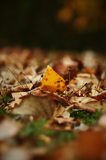 中国央行称明年适时降准降息，增强外汇市场韧性.